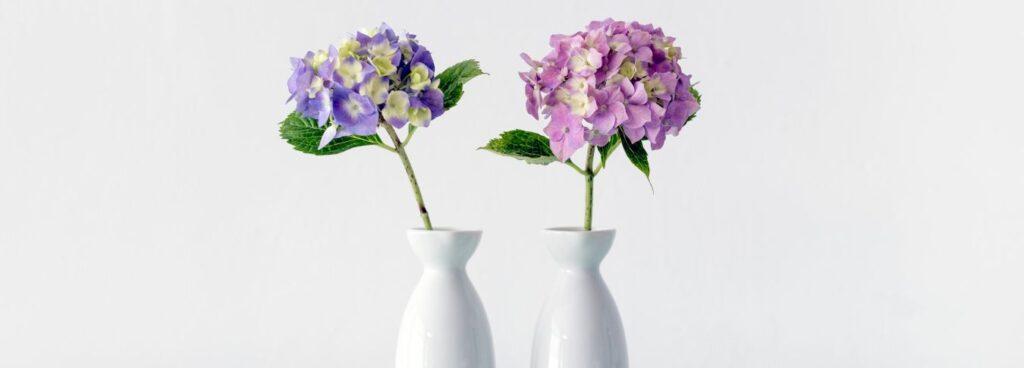 שכתוב ומקור או שני מקורות?