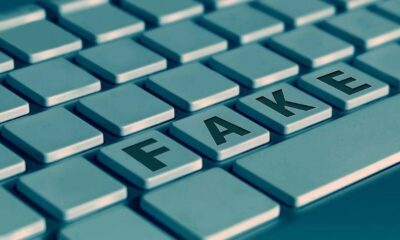 מאמר המלצות פיקטיביות תמונה ראשית