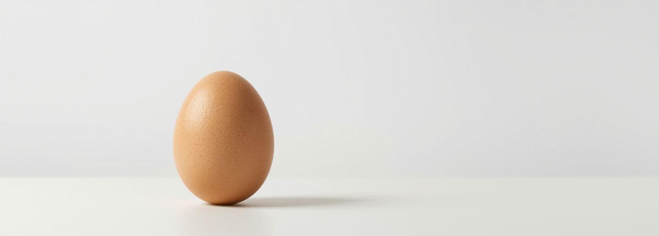 Egg Header